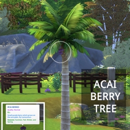 ACAI BAY PALM by icemunmun Translation into Spanish