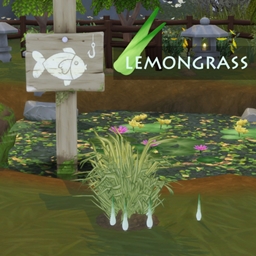 Harvestable lemongrass by icemunmun Translation into spanish