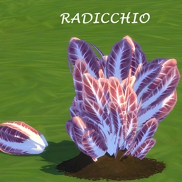red chicory HARVESTABLE by icemunmun Translation into Spanish