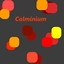 Calminium logo