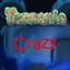 Crazy Terraria Survival World!