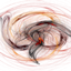 Crazitrain logo
