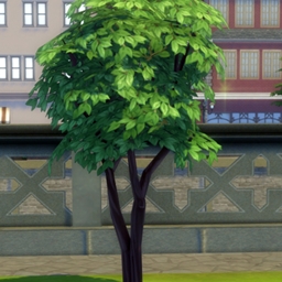 Harvestable Peach by icemunmun Translation into Spanish