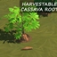 HARVESTABLE CASSAVA ROOT by icemunmun Translation into Spanish