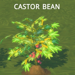HARVESTABLE CASTOR OIL by icemunmun Translation into Spanish