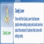 Candy Lover Trait By KiaraSims4Mods Spanish Translation