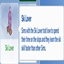 Ski Lover Trait By KiaraSims4Mods Spanish Translation logo