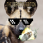 The Wild Dog Experience logo