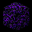 Obsidian Edition logo