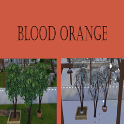 Blood Orange Harvestable | Chinese Translation