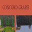 Concord Grape Harvestable by KingZace | Chinese Translation logo