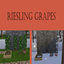 Riesling Grape Harvestable by KingZace | Chinese Translation logo