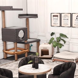 Lumina Pet Room