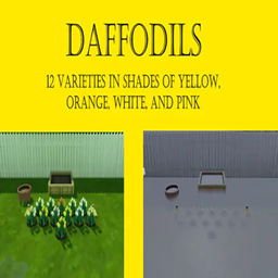 Daffodils Harvestables | Chinese Translation