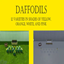 Daffodils Harvestables | Chinese Translation