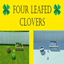Four Leafed Clover Harvestable | Chinese Translation