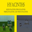 Hyacinths Harvestables | Chinese Translation