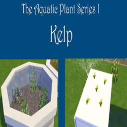 Kelp Harvestable | Chinese Translation