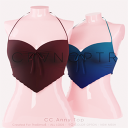 Anny Top project image