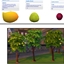 Fruit trees  by icemunmun Translation into Spanish logo