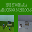 Blue Stropharia Aeruginosa Mushroom Harvestable | Chinese Translation