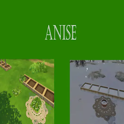 Anise Harvestable | Chinese Translation