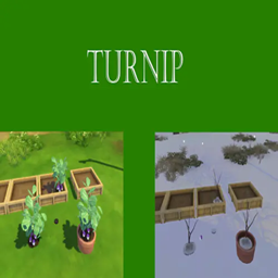 Turnip Harvestable by KingZace | Chinese Translation