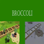 Broccoli Harvestable | Chinese Translation