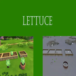 Lettuce Harvestable | Chinese Translation