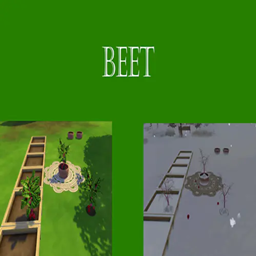 Beet Harvestable | Chinese Translation