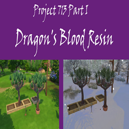 Dragon's Blood Resin Harvestable | Chinese Translation