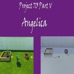 Angelica Harvestable | Chinese Translation