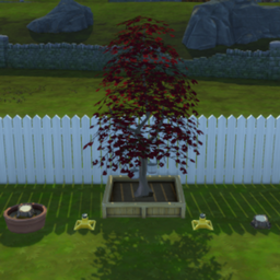 Custom Harvesting For Wood Trees | Chinese Translation