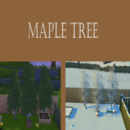 Maple Tree Harvestable | Chinese Translation