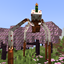 Creeper Spider Cake logo