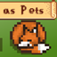 Foxes as Pets