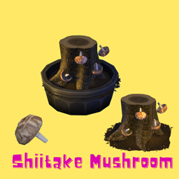Shiitake Mushroom