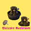 Shiitake Mushroom