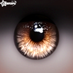 [Learxfl] Eye Contacts N21 logo