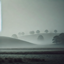 Project: The Mystererious Fog logo