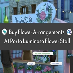 Buy Flower Arrangements at Flower Stall | Chinese Translation