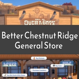 Better Chestnut Ridge General Store | Chinese Translation