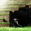 a minecaft zombie apocalipyse made by mikailkuzeygul7 logo