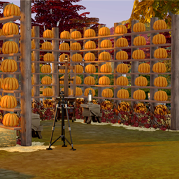 The Brindleton Country Fair - NO CC