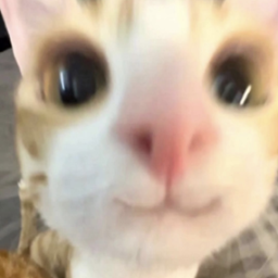 GooberPeasCraft