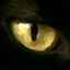 BionicChat logo