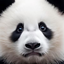 hell panda logo