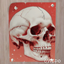 Crimson Skull Poster logo