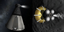 RCS+ (1.1) logo