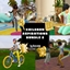Children Aspirations Bundle 2 By ilkavelle Spanish Translation logo